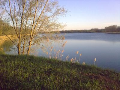 Паращино Поле