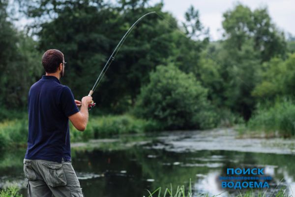 Топ-10 видов рыб для рыбалки: Лучшие трофеи от poiskvodoema.com