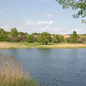 Рыбалка в Бродок