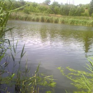 Чкаловка