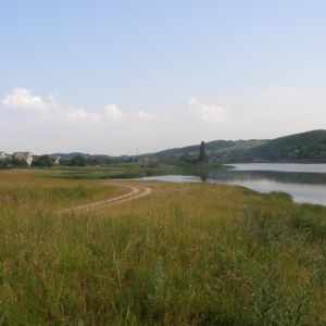 с.Мельники (Королевка)