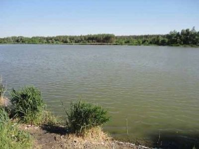 водоем в с.Таценки