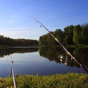 Рыболовный клуб "GoldFishClub"