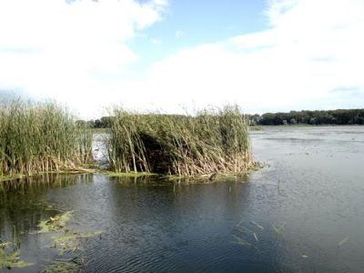 г. Ходорив, Львовская область