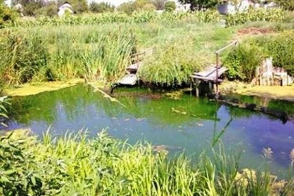 Загрязнение реки Золотоноша Черкасской области