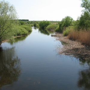 река В. Бурлук (Мостовое)