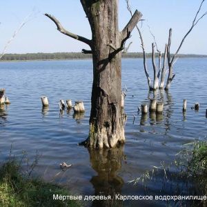 Верхнее Карловское водохранилище