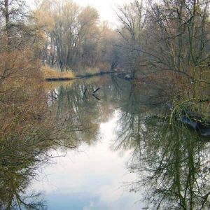 c. Тимошевка на р. Верхняя терса