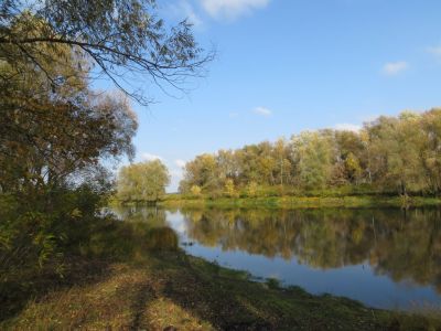 Хотяновка (обводной канал)