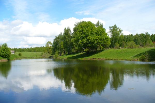 Весенний Кубок ЗРК по ловле рыбы фидером и поплавочной удочкой (2016 г.)