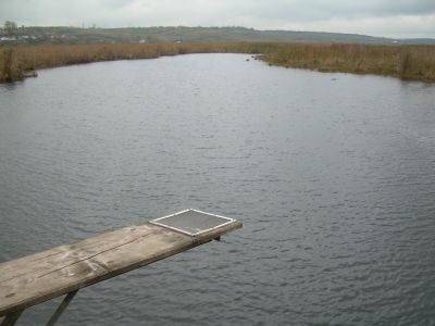 Плотыча, Тернопольский район, Тернопольская область