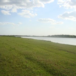 Явкино, Баштанского района, Николаев