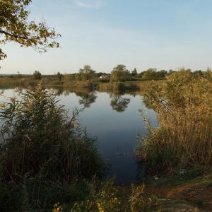 с. Благовещенка