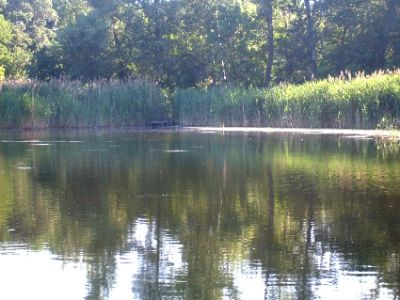 с. Грозовое