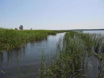 Орельское водохранилище, Харьковская область