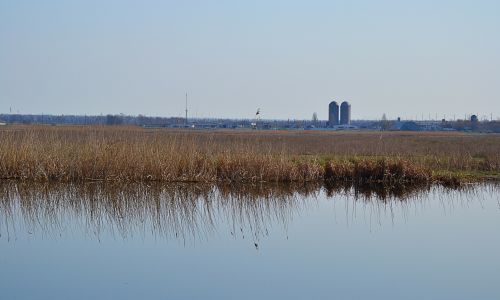 Морской карась на р. Берде