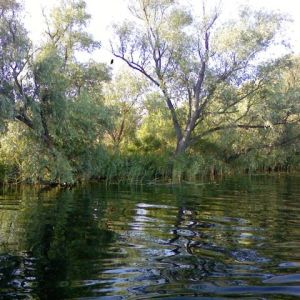 Днепровское военное охотничье хозяйство, Кизомыс,