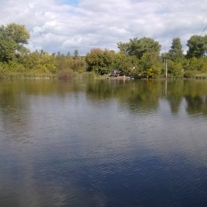 Терновая