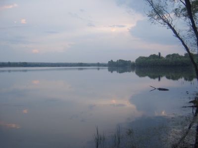 Акимовский ставок