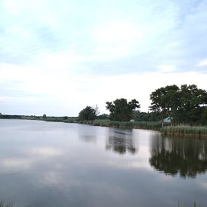 Пруд "Очеретоватое"