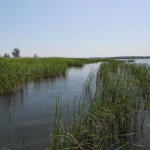 Орельское водохранилище, Харьковская область