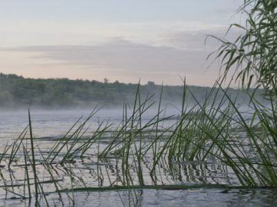рыбалка на базе "Рыбацкий стан"