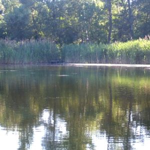 с. Грозовое