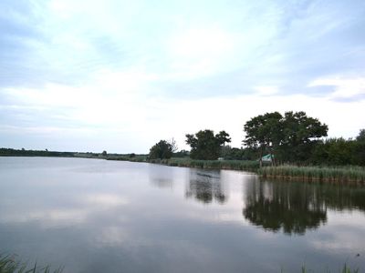 Пруд "Очеретоватое"