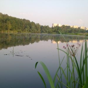 Совские пруды