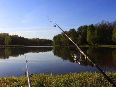 Рыболовный клуб "GoldFishClub"