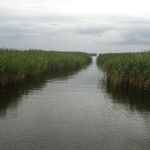 Сушно, Львовская область, Украина