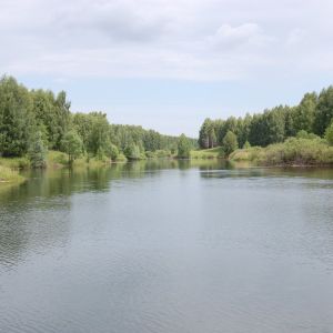 с. Благовещенское