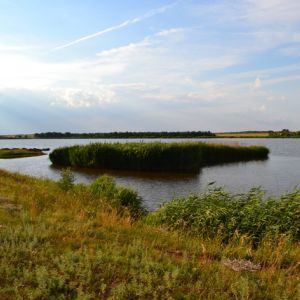 Пруд "Ударник"