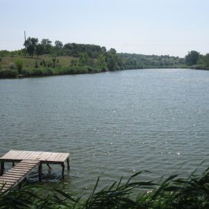 Карповая заводь