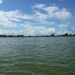 Новый Мосыр