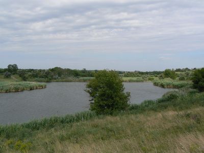 Пруд "Вольное"