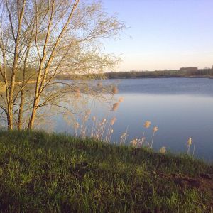 Паращино Поле