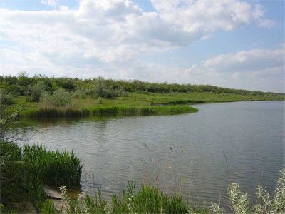 Пруд Белянский (Червоноукраинка)