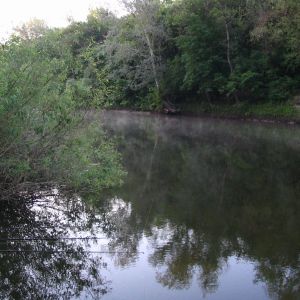 р. Псел в Сухорабовке