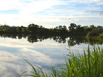 Пруд «МАСКВА»