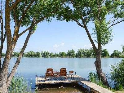 Волково болото