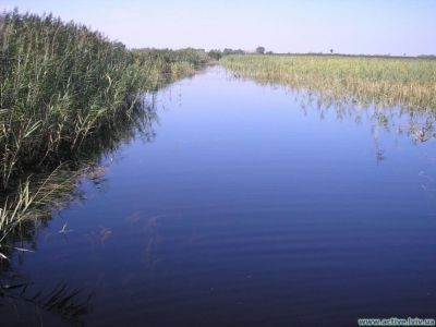 Олесько, Бусский район, Львовская область