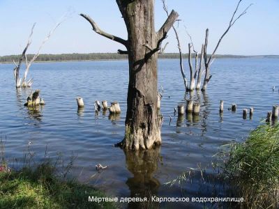 Верхнее Карловское водохранилище