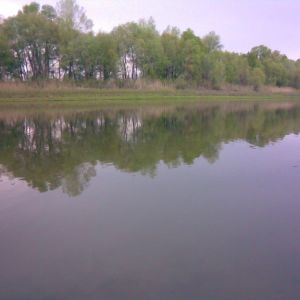 Першотравека,