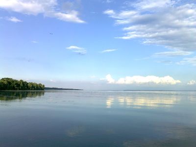 Мишурин Рог