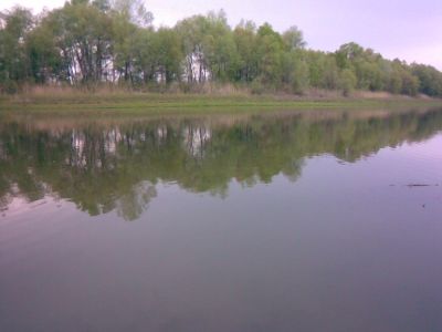 Першотравека,