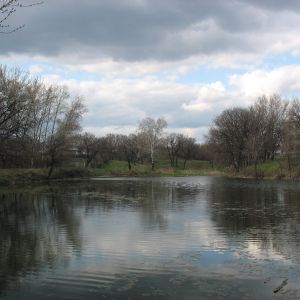 Краснянка