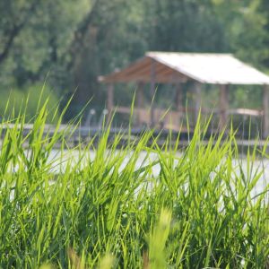 Слобода Межировская