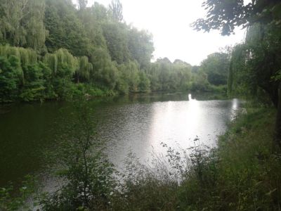 озеро Ивча, Литинский р-н, Винницкая обл.