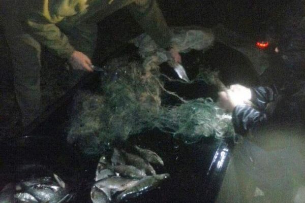 На Каховском браконьер